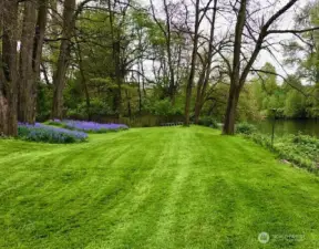 There is a spacious back yard for resident's park like enjoyment.