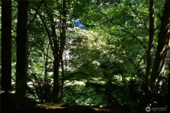 House from the park below