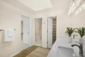 The Primary Bathroom has a wonderful skylight, allowing natural light.