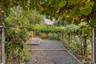 Welcome to the garden.  Entirely fenced and a private oasis during with beautiful grapevines, climbing hydrangea, tons of blueberries, gooseberries, pie blackberries, and more.