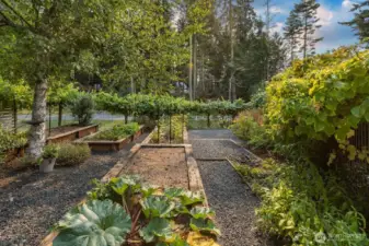 5 large raised garden beds to plant however you like.