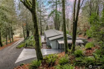 The perfect blend of PNW-woods, moss covered drive, access to popular Black Lake, and a private, wooded setting