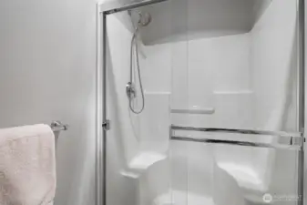 Primary ensuite shower