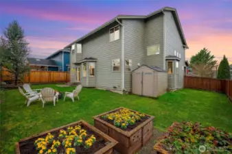 Spacious backyard with raised garden beds.