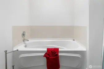 Primary Bath Tub