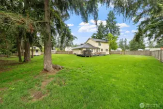 Backyard: Lot is a little more than half an acre