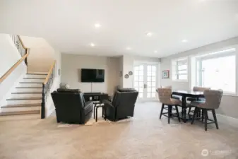 Family Room Lower Level