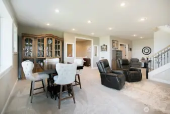 Family Room Lower Level