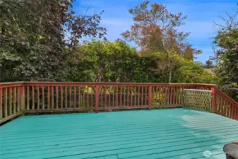 Secluded back deck