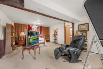 Massive downstairs bonus room