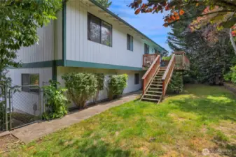 Backyard - different angle