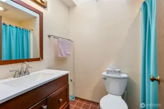 Hall bath with shower/tub combo and skylight for lots of natural light.
