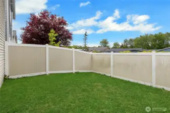 Yard is not accessed from main door ways.