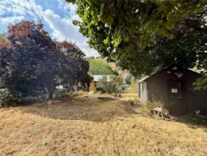 Fenced Backyard With Mature Trees