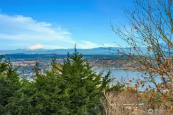 Views of Lake Sammamish and Mt. Baker!