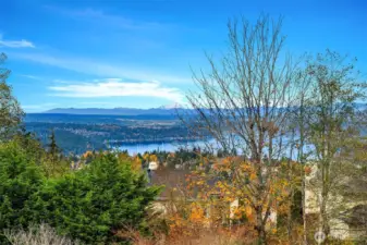 View from Primary Deck