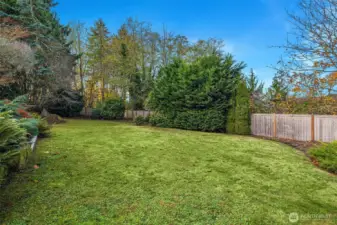 Large level lawn space.  Great for games during holiday gatherings.