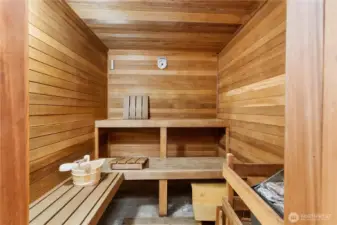 Sauna in rec room.