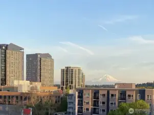 View from the balcony of beautiful Mt. Ranier.