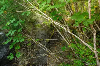 Peaceful natural landscape of Morse Creek, flowing just beyond the property and audible right from the front door. The creek winds through a canopy of mature trees, creating a soothing backdrop of running water and birdsong. A serene setting that enhances the home’s connection to nature while offering a sense of tranquility and retreat.