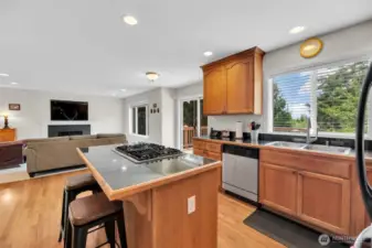 Island cooktop with gas range, and breakfast bar. This great room concept is where you'll spend most of your time. The family room adjacent to the kitchen is a great hang out space. The attached deck is to the right and has tons of space to bring the outdoors in.
