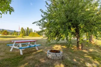Outdoor firepit near the apple and walnut trees.
