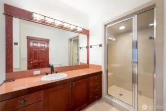 Primary bathroom with steam shower