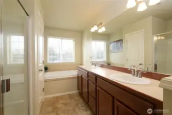 Ensuite primary bath