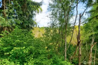 View from deck off Unit B.