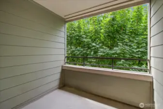 Large private balcony
