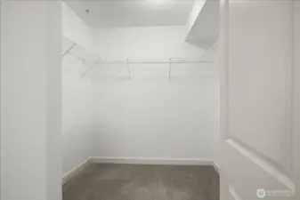 Oversized walk-in closet.