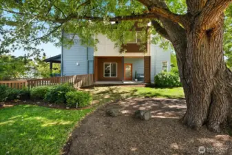 Green views & spaces for play next to the home add serenity and so many possibilities!