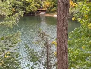 View out Back of Home 2