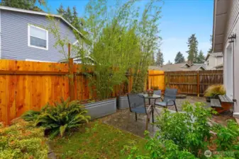 Container plantings provide an effective privacy screen.