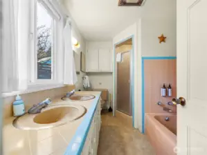 Primary bath (upstairs)