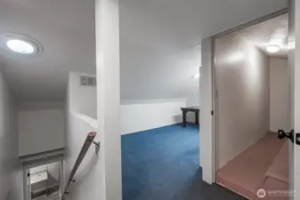 Attic Bonus Area/Flex Space