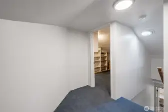 Attic Bonus Area/Flex Space