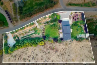 3+ Acres with Beautiful Grounds and Gardens with fruit trees and grapes and a Large Chicken Coop.