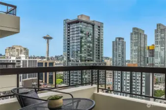 Magical city & Space Needle views from your home to enjoy year round!