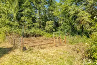 Fenced Garden Area