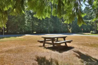 and picnic tables and area for volleyball or other outdoor games