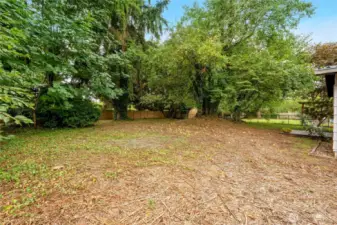 Huge fenced backyard