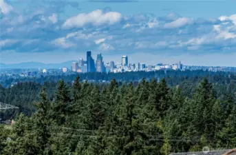 Front & center VIEWS of all of downtown Seattle and the Olympic Mountain range! Far-reaching views with colorful territorial views too.