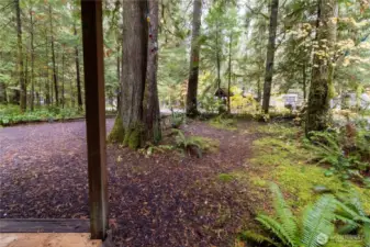 This lightly treed little grove area at the front could be cleared for more parking, future gazebo, or keep it as is for privacy from the road. It's a great spot for a tent, too!