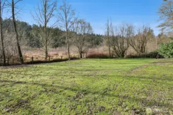 Pasture area for your animals!