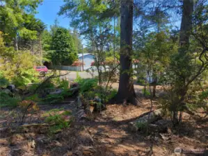 Elevated above the road and water table means probable gravity septic?!?