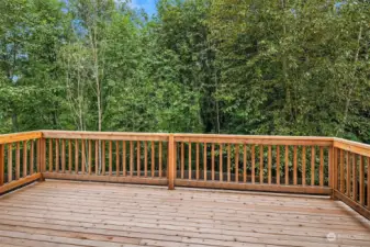 Large Entertainment Size Deck