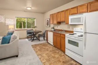 Full kitchen and sizable living room.