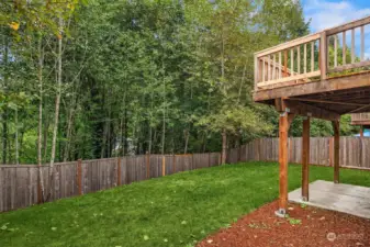 Spacious fully fenced back yard