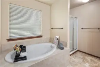 Thoughtfully designed luxurious primary suite features a custom 5-piece bath complete with a spa-like soaking tub, dual vanities, a walk-in shower, and a custom-tailored bidet.